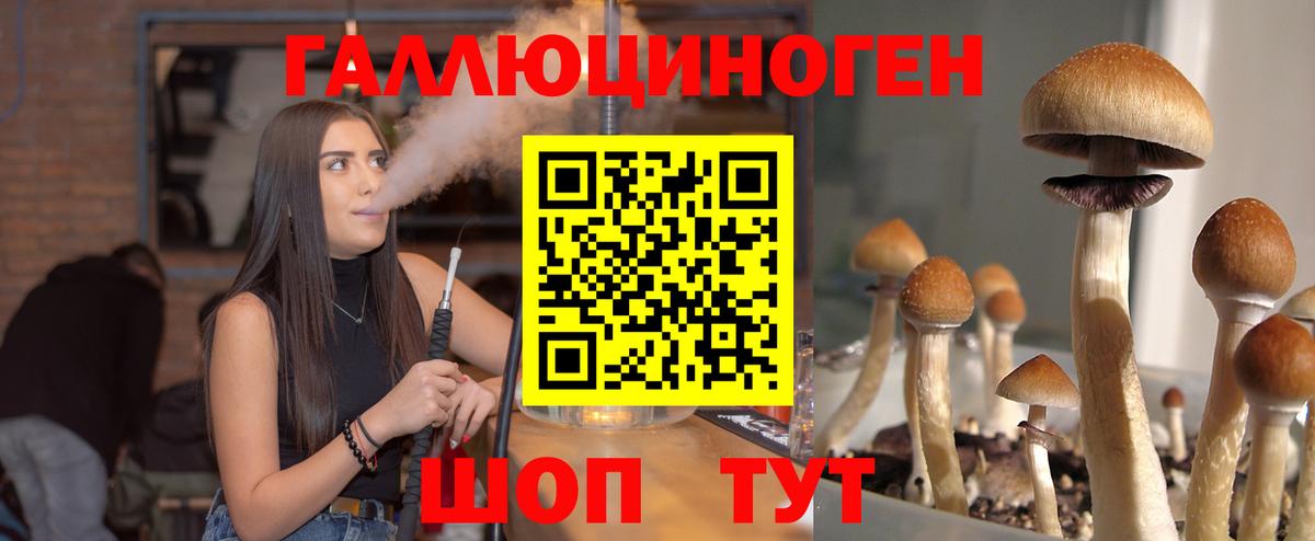 Галлюциногенные грибы MAGIC MUSHROOMS Геленджик